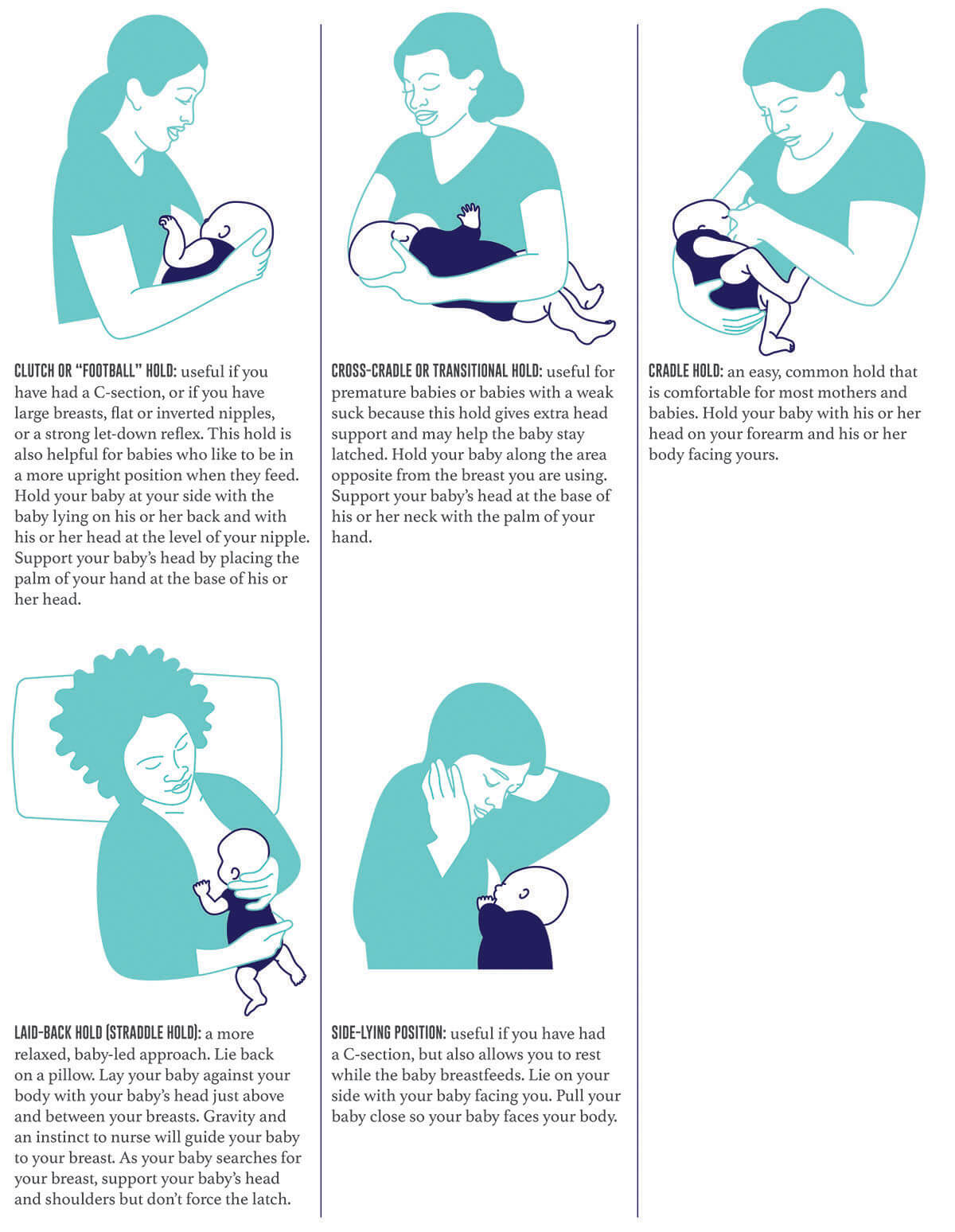 Illustrations of the breastfeeding holds described above.